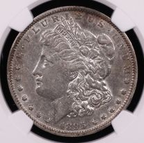 1895-O Morgan Dollar | NGC XF45